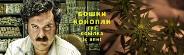 индика Майский