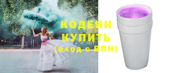 индика Майский