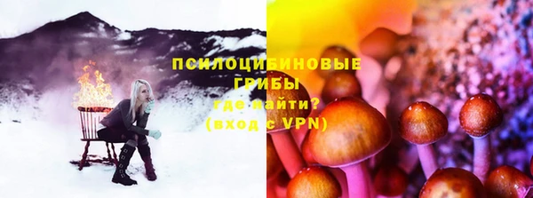 индика Майский
