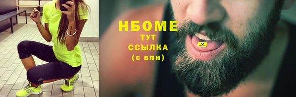 индика Майский