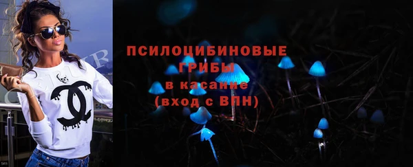 дурь Магас