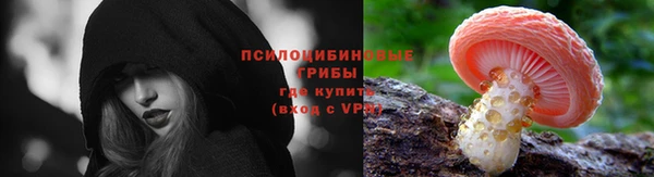 индика Майский